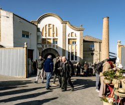 Festa de l'oli nou Soleràs 2025