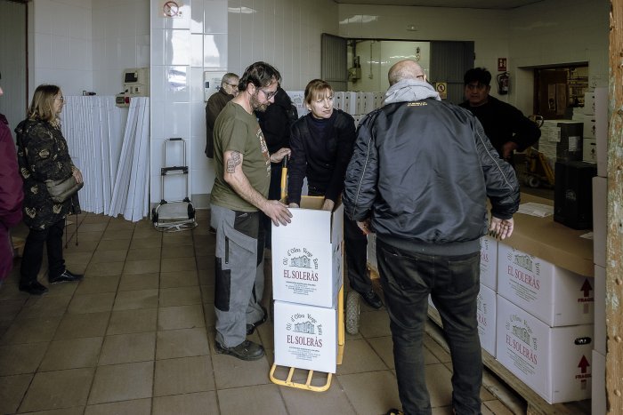 006 SG674XMsolerasFestaOliNou 5829