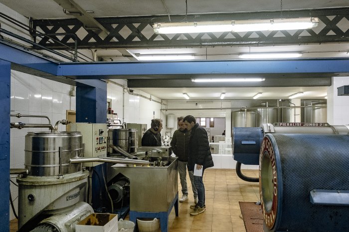 010 SG674XMsolerasFestaOliNou 5841