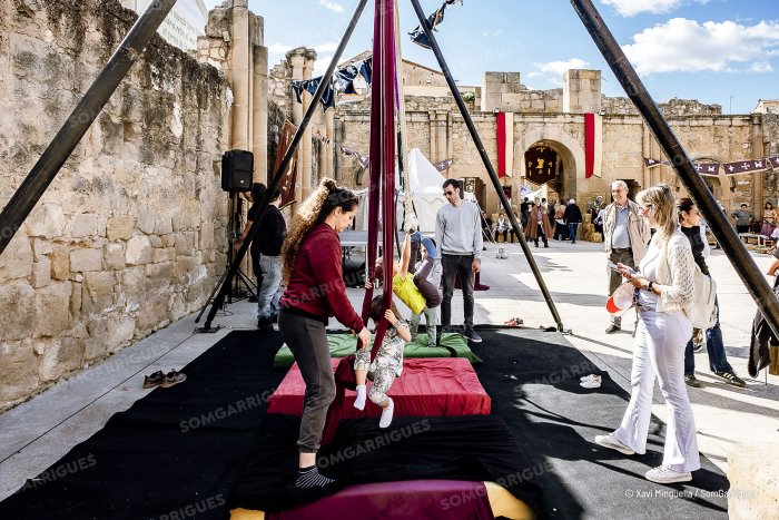 010 SG685XMtorrebessesFestaMedieval 4678