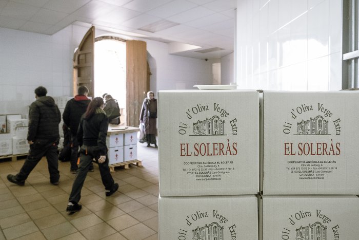 011 SG674XMsolerasFestaOliNou 5844