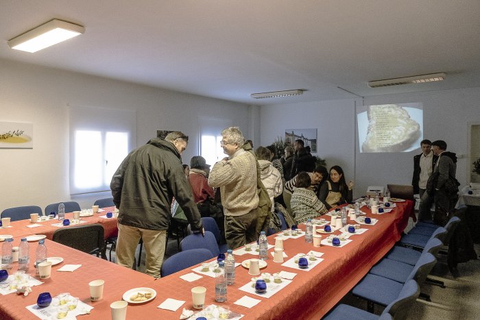 019 SG674XMsolerasFestaOliNou 5859