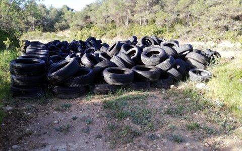 Una part dels pneumàtics, a la finca (Foto: Ipcena)