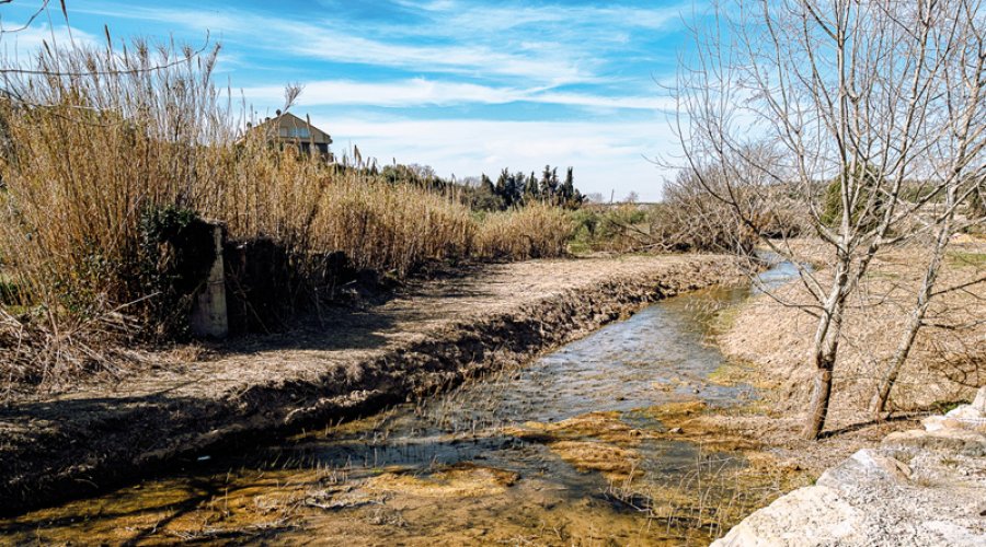 (foto: Xavi Minguella)