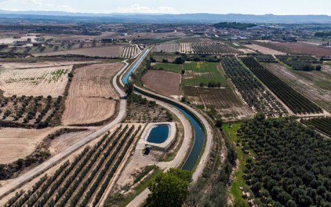 El Canal Principal, al pas per Arbeca. (foto: A. González)