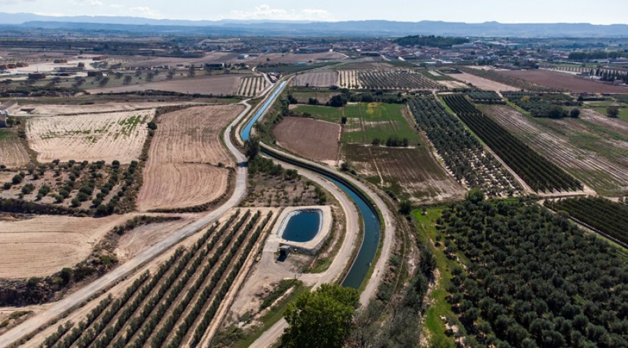 El Canal Principal, al pas per Arbeca. (foto: A. González)