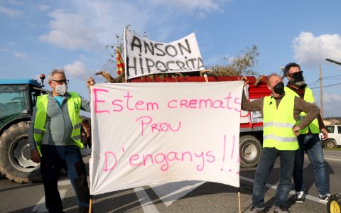 Manifestants durant el tall d'ahir a Flix. FOTO: Mar Rovira/ACN