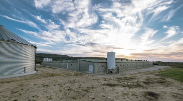 L'empresa està a punt de finalitzar una altra granja similar a poc més d'1 km. (foto: Xavi Minguella)