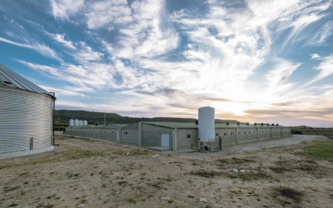 L'empresa està a punt de finalitzar una altra granja similar a poc més d'1 km. (foto: Xavi Minguella)