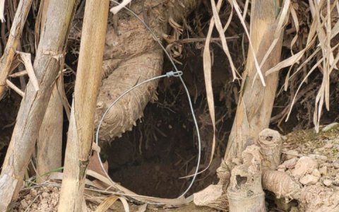 (foto: Agents Rurals)