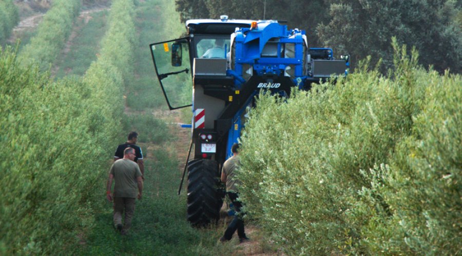 (foto: Grup Pons)