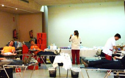 La marató va durar 12h seguides (foto: Ajuntament de les Borges)