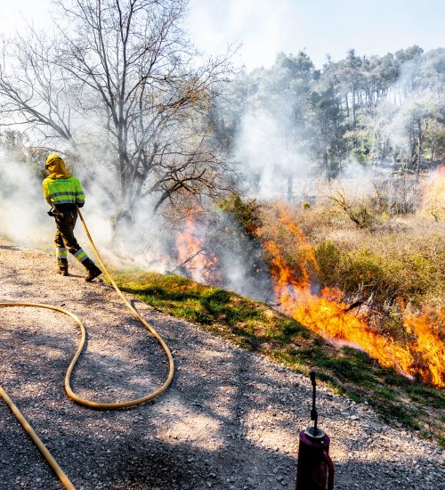 Imatge de les cremes controlades fetes a Tarrés. FOTO: Xavi Minguella