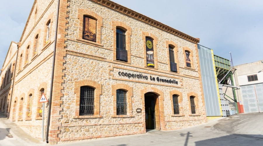 Foto: Cooperativa de la Granadella