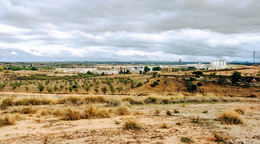 Terrenys on ha d'anar la futura zona industrial. (foto: X.M.)
