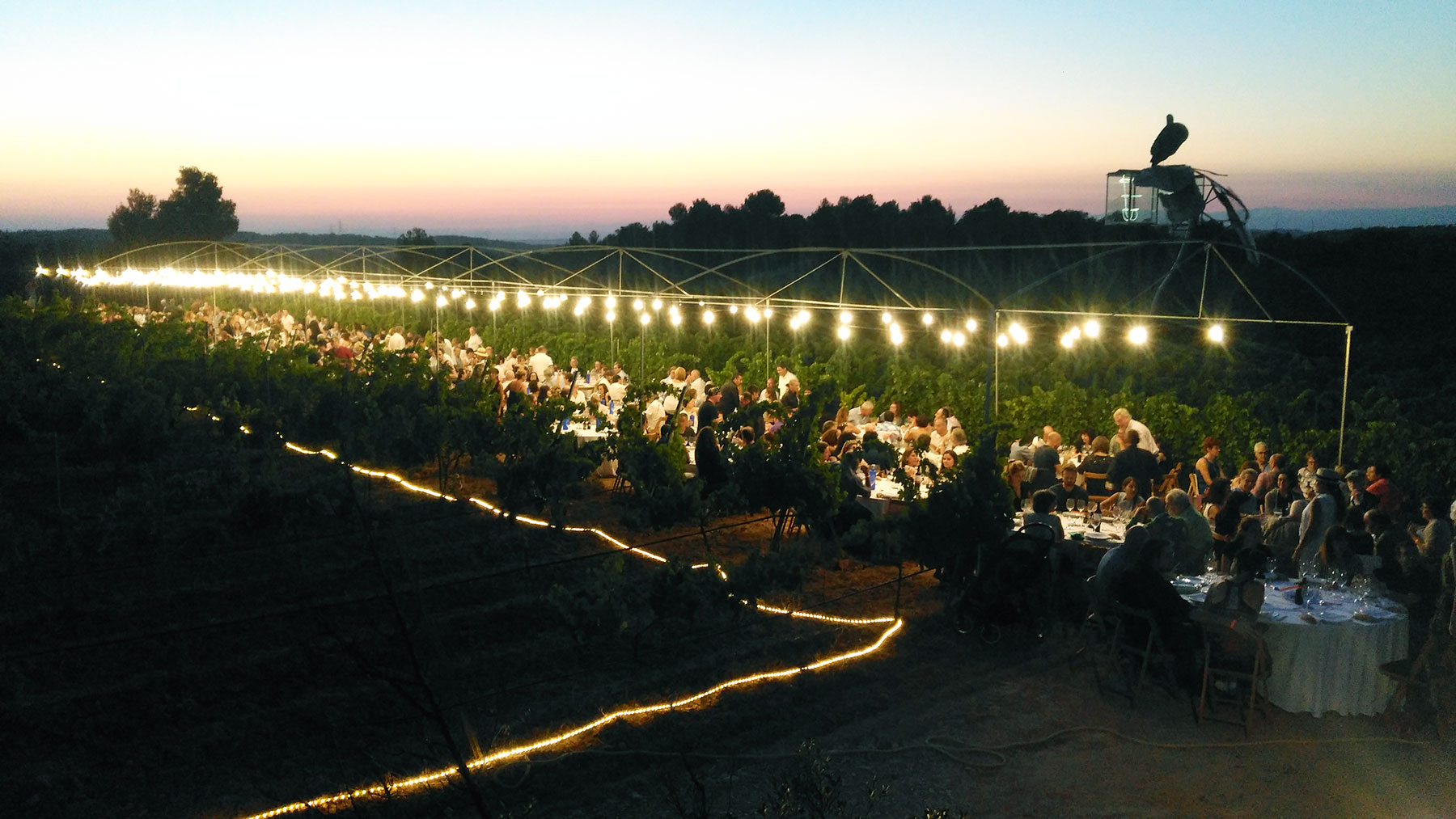 Foto:Celler Mas Blanch i Jové